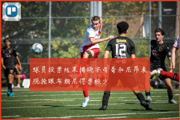 球员投票结果揭晓字母哥和尼昂表现抢眼布朗尼得票较少