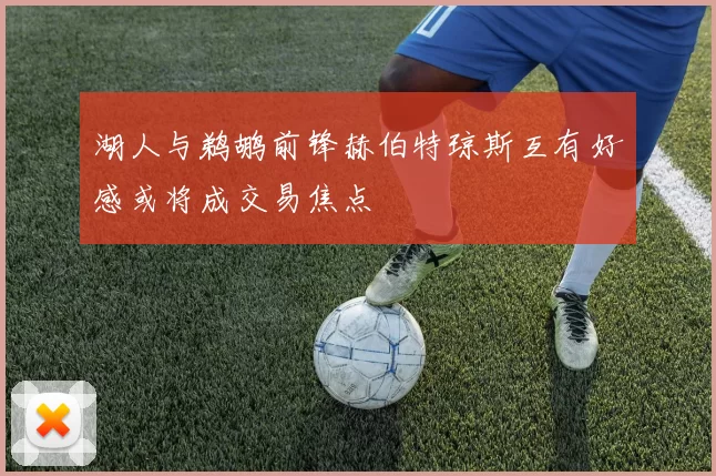 湖人与鹈鹕前锋赫伯特琼斯互有好感或将成交易焦点