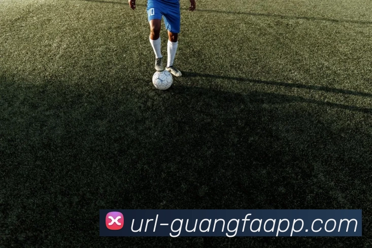 广发体育APP 封面图